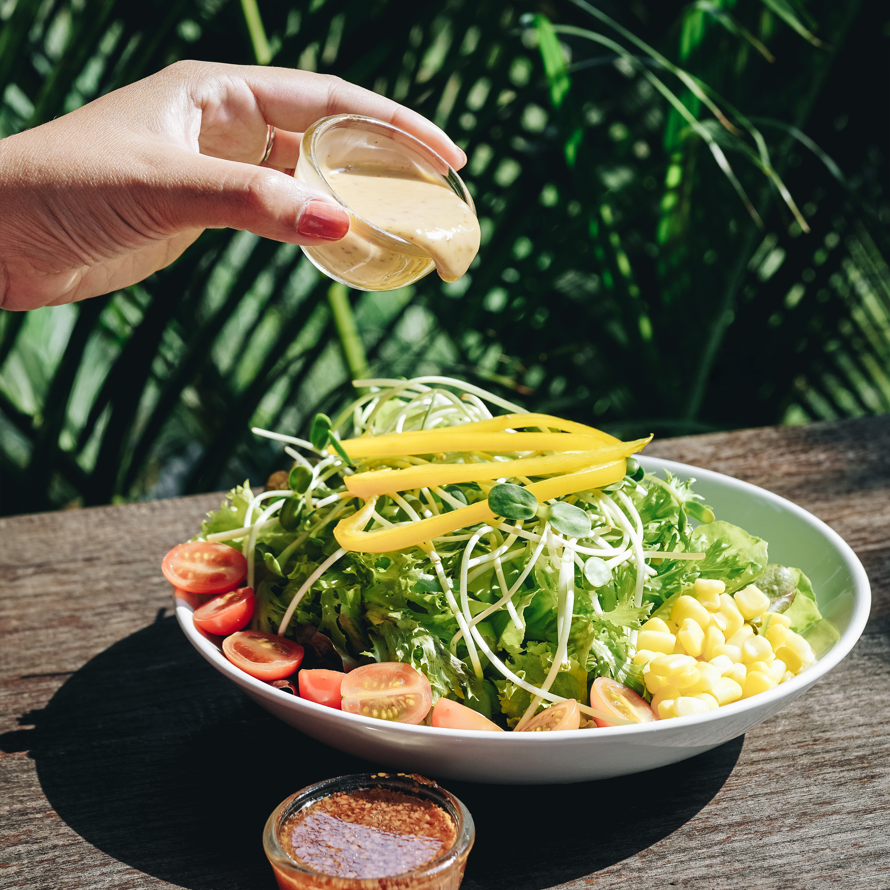 Organic certified vegetable salad