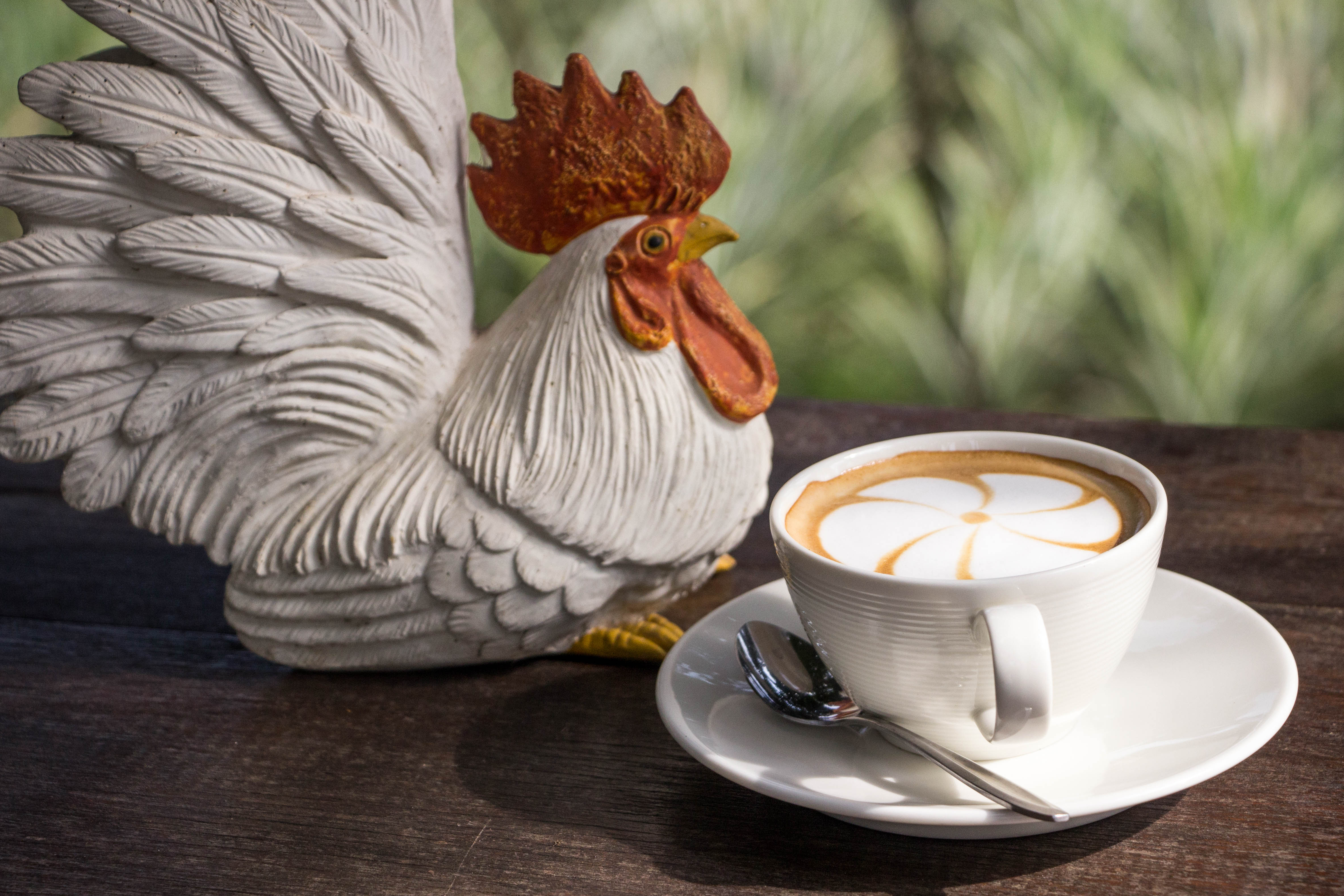 ตุ๊กตาไก่ สะท้อนปีเกิดของเจ้าของร้าน