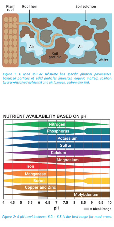 มี “ดิน/สับสเตรด ประกอบไปด้วย ความสมดุลระหว่างอนุภาคของแข็ง ของเหลว และก๊าซ ซึ่งจำเป็นอย่างยิ่งที่จะต้องมีโอกาสปรับเปลี่ยนส่วนประกอกบของตัวเอง