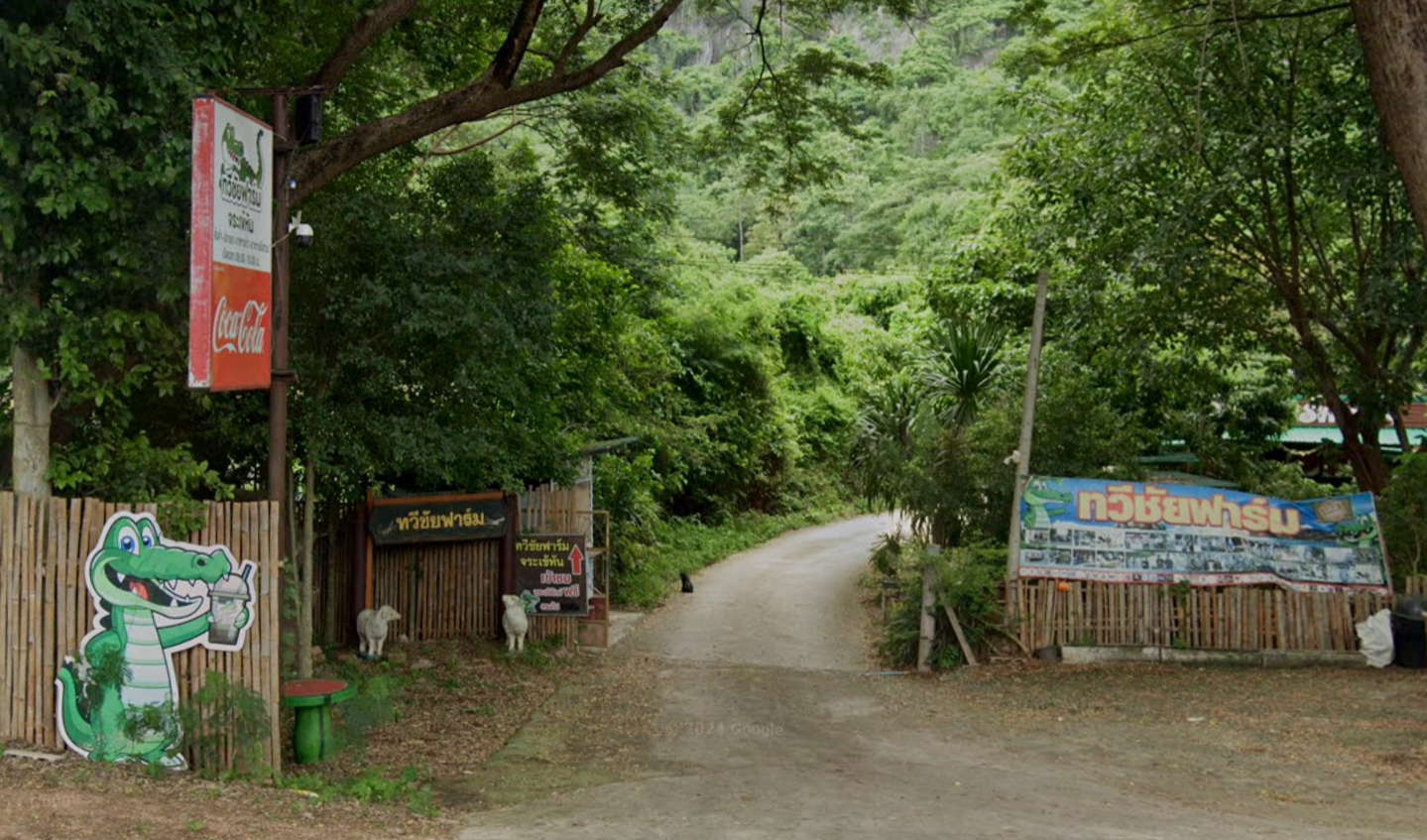 Taweechai Crocodile Farm