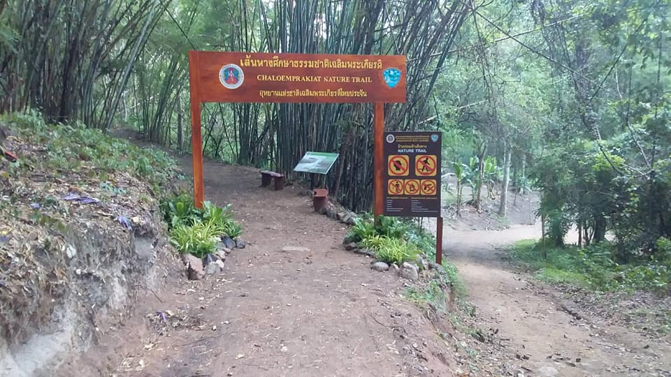 Treking Trail at Thai Prachan National Park