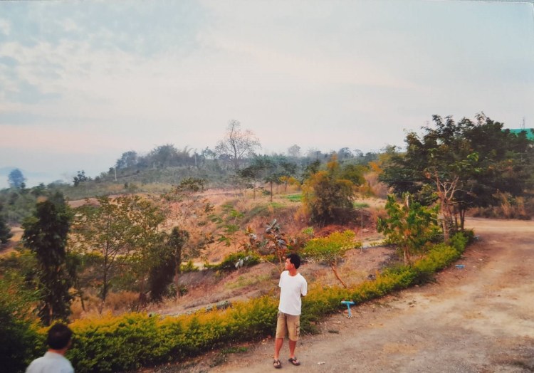 Kongkarn during regenerative development